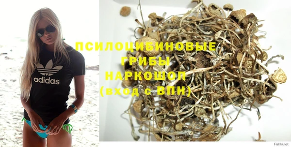 тгк Балахна