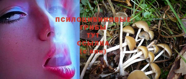 тгк Балахна