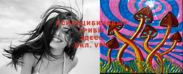 амф Баксан