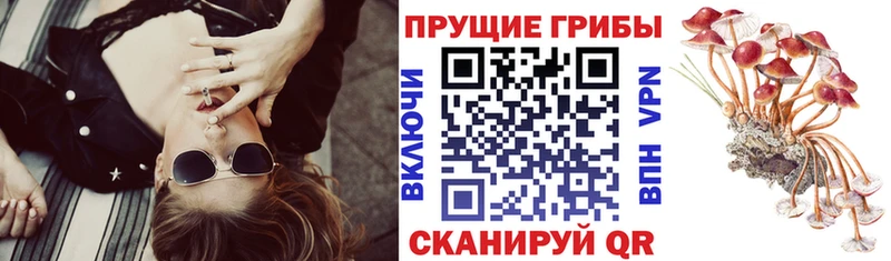 Псилоцибиновые грибы мухоморы  Болохово 